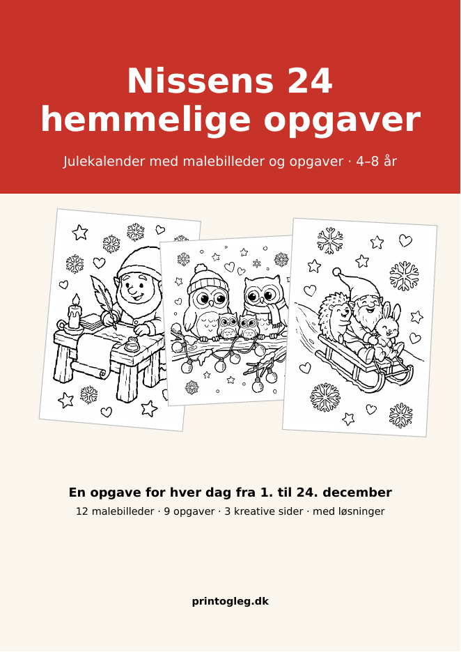 Forside: Nissens 24 hemmelige opgaver
